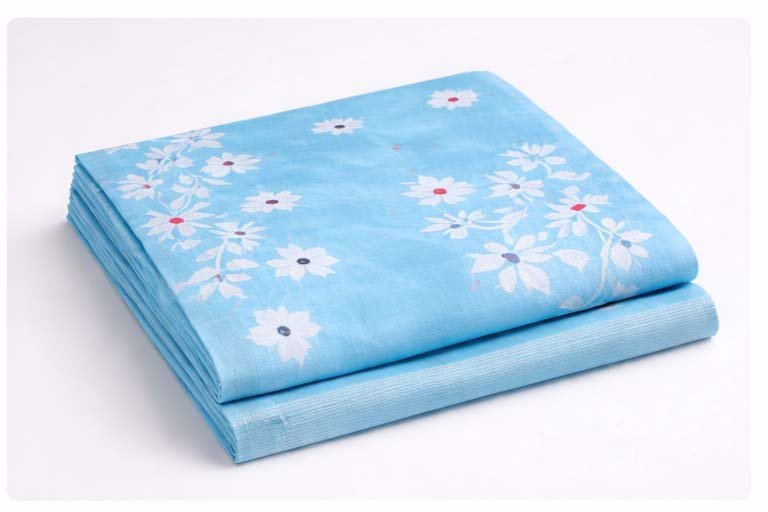 Sky Blue Muslin Saree - Image 3