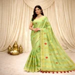 Pistachio Green Tissue Saree in cotton tissue with golden stripes and rust red motifs