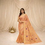 Aabha Tissue saree in peach blush with golden tissue stripes and royal blue motifs